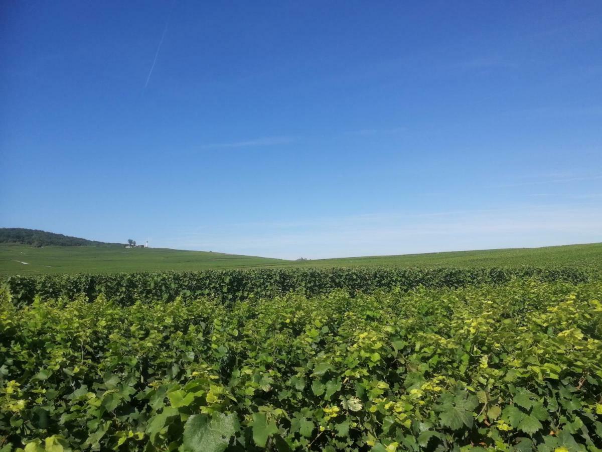 Chateau De Courmelois Champagne Guest House Val de Vesle المظهر الخارجي الصورة
